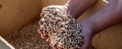 Biomass Vessels: Steering Towards Cleaner Maritime Shipping